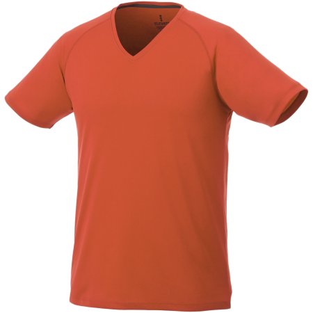 Amery short sleeve men's cool fit v-neck t-shirt 